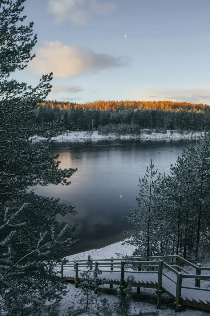Hospitor : Northern Europe Explorer : DENMARK : ESTONIA : FINLAND : LATVIA : LITHUANIA : NORWAY : POLAND : SWEDEN