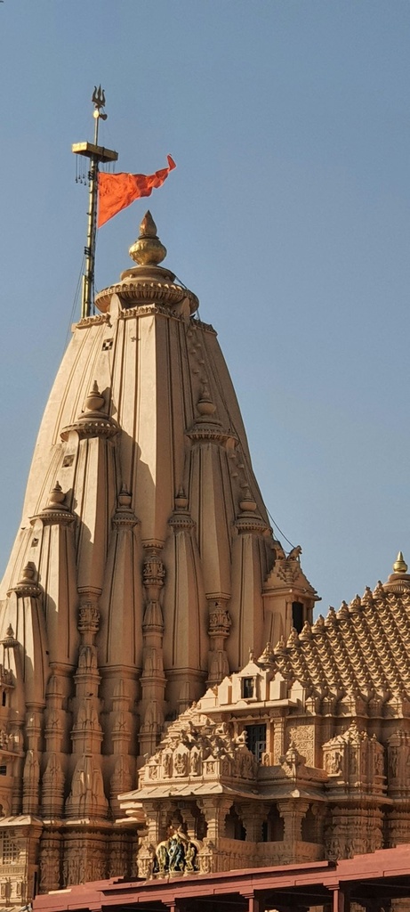 Hospitor : Southeast Gujarat : Dwarka, Somanth, Sansan Gir: India (1, 0, 0, 0)