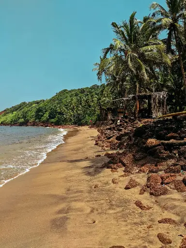 Hospitor : Goa Groove Tour : India