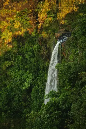 Hospitor : Swift Sojourn in Odisha : Bhubaneswar : Puri : India