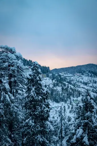 Hospitor : Hills of Shimla : India