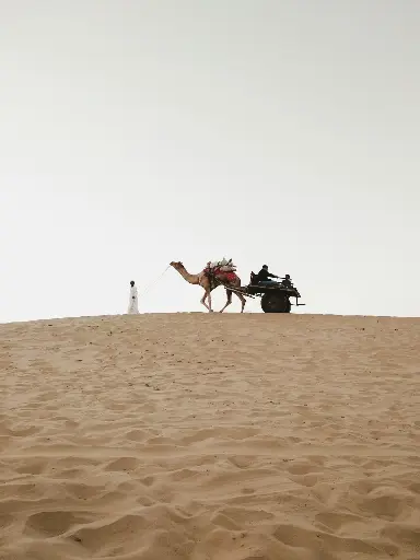 Hospitor : Expansive deserts of Rajasthan : Jaipur : Ranthambore : India 