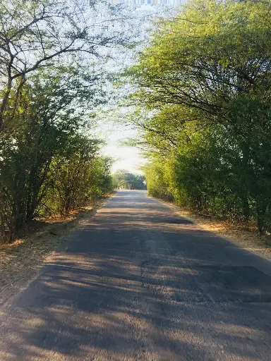Hospitor : Sole of Rajasthan : Pushkar : Ajmer : India 