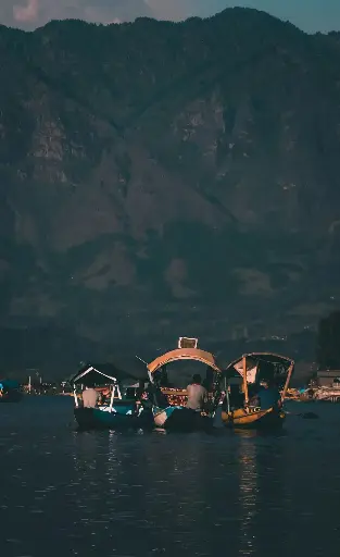 Hospitor : The Pines and Pools of Kashmir : Srinagar : Pahalgam : Gulmarg : India