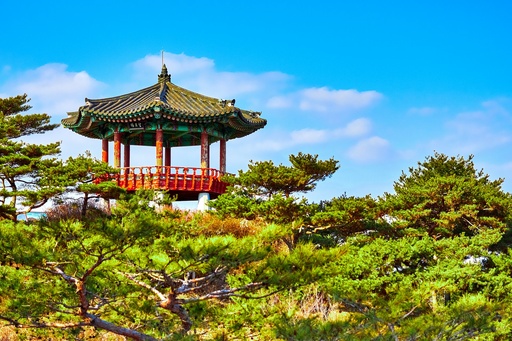Hospitor : Merely Seoul : South Korea