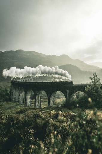 Hospitor : Roam New Zealand By Train 