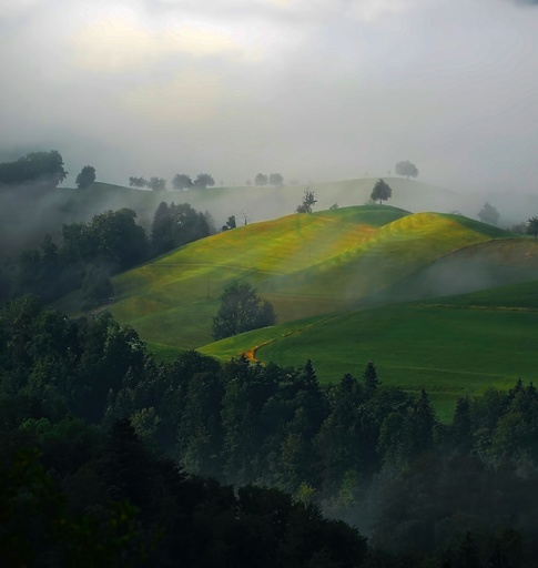 Hospitor : Maharashtra Monsoon Drive : Igatpuri Escape : India 