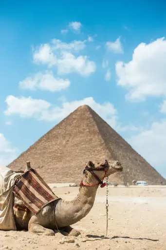 Hospitor : Glimmers of Jordan & Cairo : Egypt : Israel : Jordan 