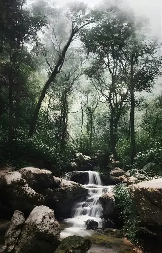 Hospitor : Getaway to Pachmarhi : India 