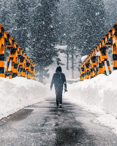 Hospitor : Deluxe : Pines and Pools of Kashmir : Srinagar : Pahalgam : Gulmarg : India