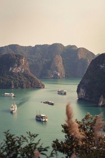 Hospitor : Premium Vietnam Visuals 
