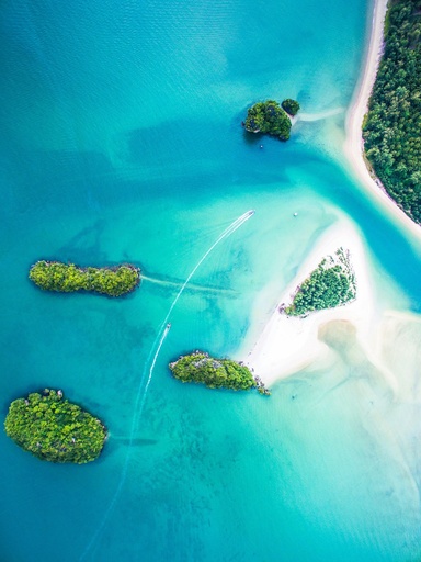 Hospitor : Thai Tides 