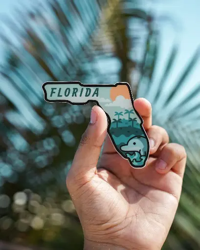 Hospitor : Deluxe Days in Florida : United States of America