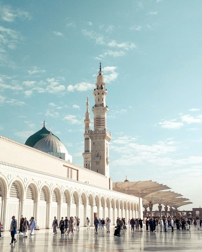 Hospitor : Lavish Saudi Arab 