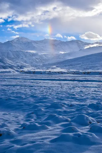Hospitor : Echoes of Leh Ladakh : Nubra : Pangong : Tsomoriri : Premium India 