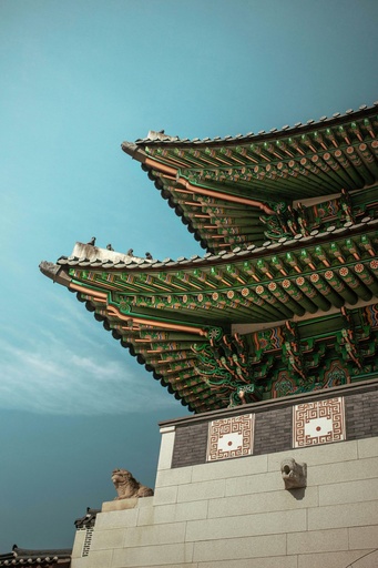 Hospitor : Luxurious Seoul : South Korea 