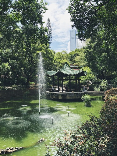 Hospitor : Deluxe Hong Kong with Disneyland