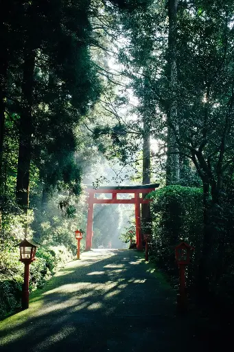 Hospitor : Japan's Premium Destinations