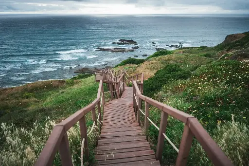 Hospitor : Southern Portugal Getaway