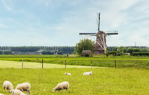 Hospitor : Northern Route of England to Netherlands 