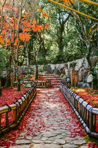 Hospitor : Just Japan