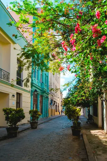 Hospitor : Havana Highlights : Cuba : Europe 