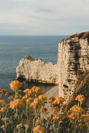 Hospitor : A Fairytale Across Europe : CZECH REPUBLIC : ENGLAND : FRANCE : GERMANY : NETHERLANDS 