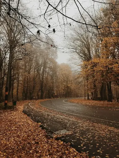 Hospitor : Whispers of Iran