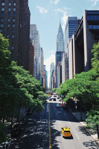 Hospitor : Coast to City Lights: California to New York : United States Of America (USA)