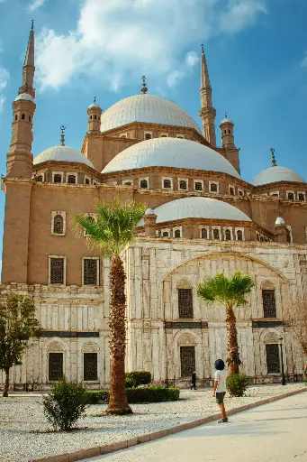 Hospitor : Nile Dreams & Red Sea Bliss : EGYPT