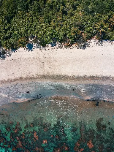 Hospitor : Tides of the Great Barrier Reef : Australia 