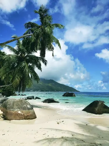 Hospitor : Blissful Seychelles : Africa 