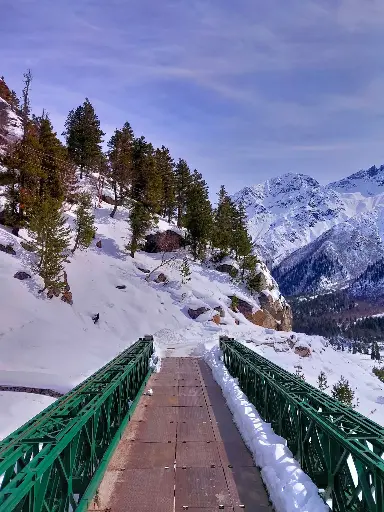 Hospitor : Excellent Himachal : Shimla : Manali : India