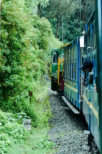 Hospitor : Southern Sojourn : Banglore : Mysore : Coorg : Ooty : India 